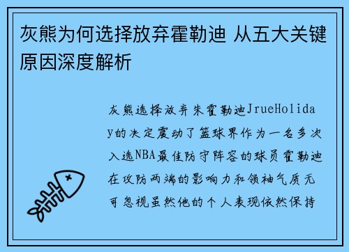 灰熊为何选择放弃霍勒迪 从五大关键原因深度解析