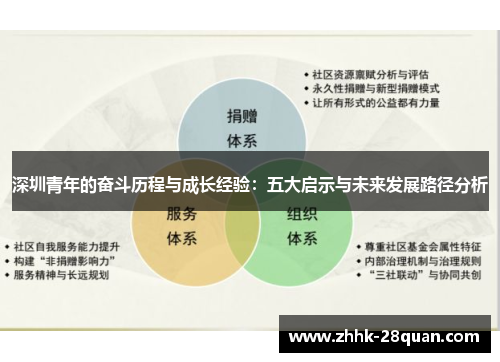 深圳青年的奋斗历程与成长经验：五大启示与未来发展路径分析