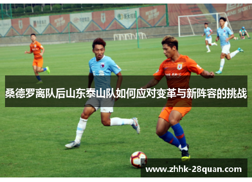 桑德罗离队后山东泰山队如何应对变革与新阵容的挑战