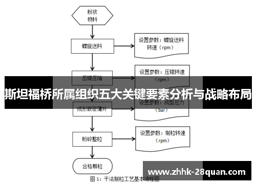 斯坦福桥所属组织五大关键要素分析与战略布局