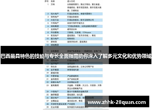 巴西最具特色的技能与专长全面指南助你深入了解多元文化和优势领域